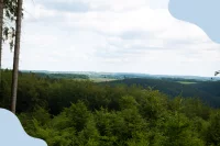 Bild vom Nationalpark Eifel